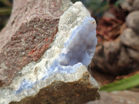 Natural Blue Lace Agate Geode Specimens x 1 From Nsanje, Malawi - Toprock Gemstones and Minerals 