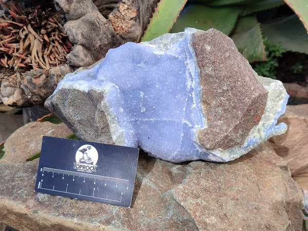 Natural Blue Lace Agate Geode Specimens x 1 From Nsanje, Malawi