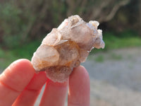 Natural Golden Limonite Spirit Quartz Clusters x 35 From Boekenhouthoek, South Africa - Toprock Gemstones and Minerals 