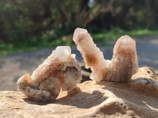 Natural Golden Limonite Spirit Quartz Clusters x 35 From Boekenhouthoek, South Africa - Toprock Gemstones and Minerals 