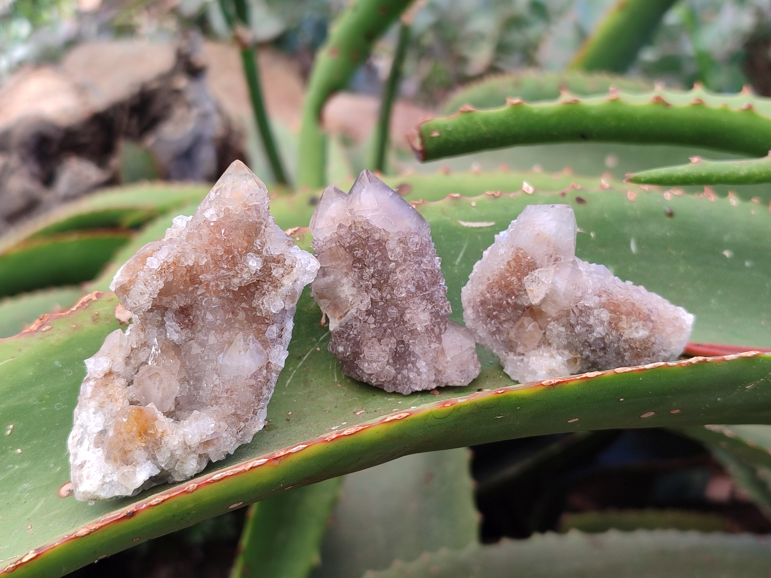 Natural Golden Limonite Spirit Quartz Clusters x 35 From Boekenhouthoek, South Africa - Toprock Gemstones and Minerals 