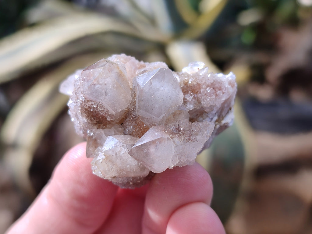 Natural Golden Limonite Spirit Quartz Clusters x 35 From Boekenhouthoek, South Africa - Toprock Gemstones and Minerals 