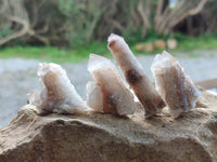Natural Golden Limonite Spirit Quartz Clusters x 35 From Boekenhouthoek, South Africa - Toprock Gemstones and Minerals 