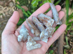 Natural Golden Limonite Spirit Quartz Clusters x 35 From Boekenhouthoek, South Africa - Toprock Gemstones and Minerals 