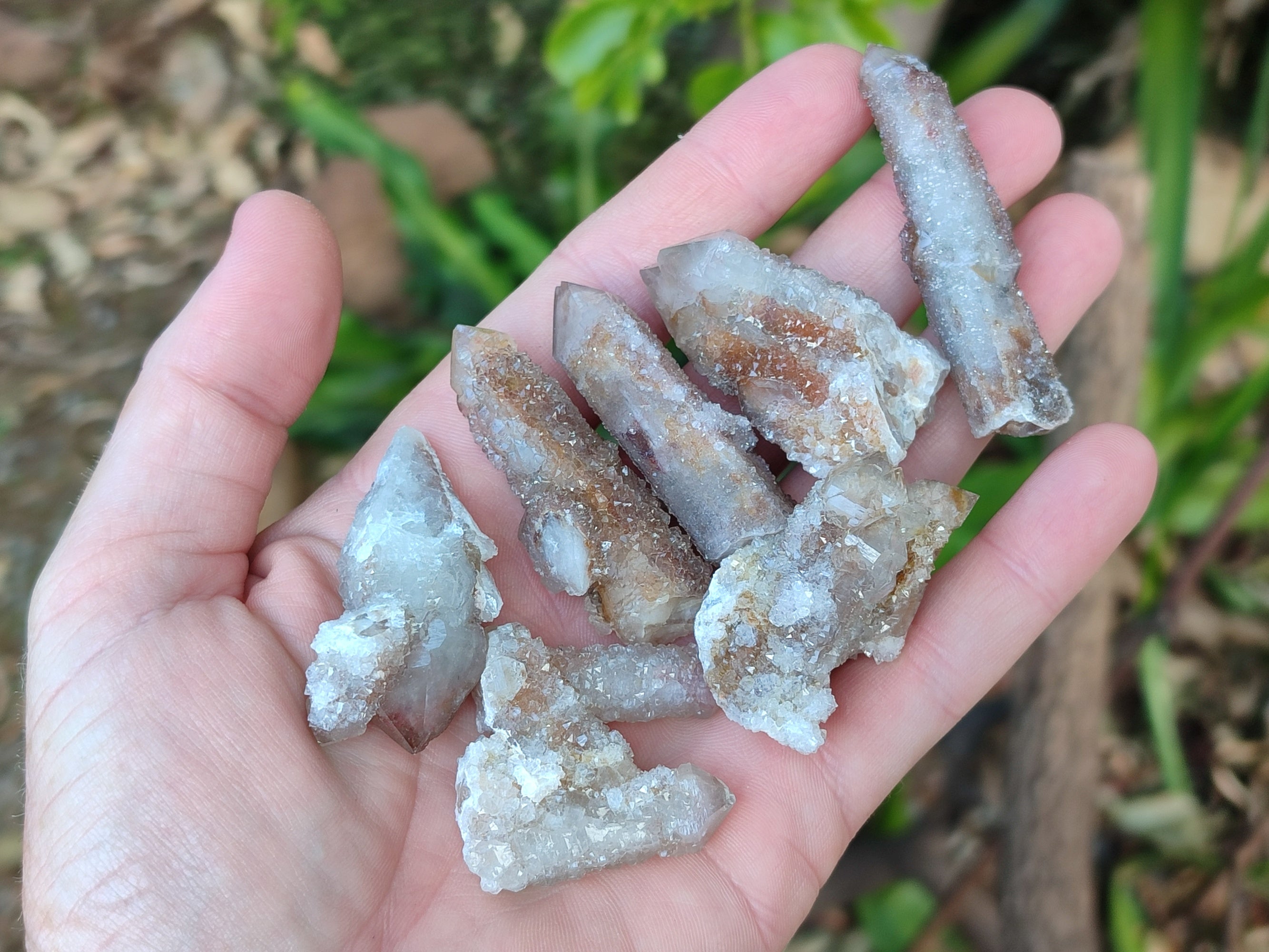 Natural Golden Limonite Spirit Quartz Clusters x 35 From Boekenhouthoek, South Africa - Toprock Gemstones and Minerals 