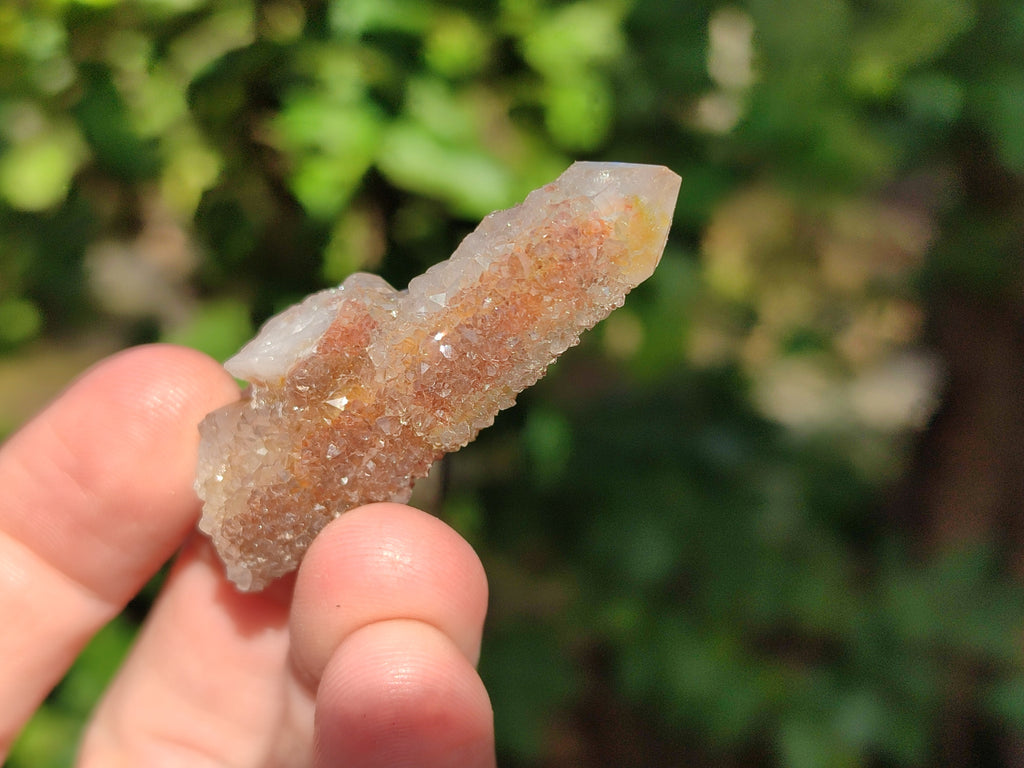 Natural Golden Limonite Spirit Quartz Clusters x 35 From Boekenhouthoek, South Africa - Toprock Gemstones and Minerals 