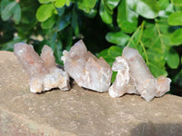 Natural Golden Limonite Spirit Quartz Clusters x 35 From Boekenhouthoek, South Africa - Toprock Gemstones and Minerals 