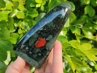 Polished Bloodstone Standing Free Forms x 2 From Swaziland