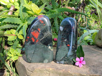 Polished Bloodstone Standing Free Forms x 2 From Swaziland