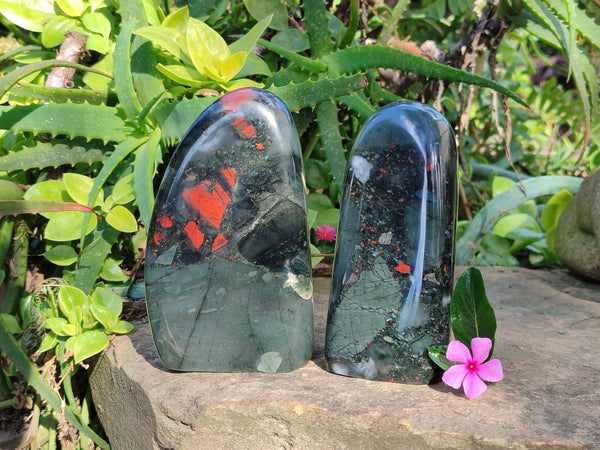 Polished Bloodstone Standing Free Forms x 2 From Swaziland