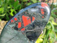 Polished Bloodstone Standing Free Forms x 2 From Swaziland