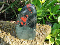 Polished Bloodstone Standing Free Forms x 2 From Swaziland
