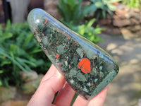 Polished Bloodstone Standing Free Forms x 2 From Swaziland
