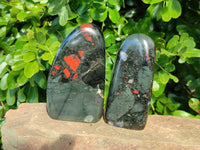 Polished Bloodstone Standing Free Forms x 2 From Swaziland