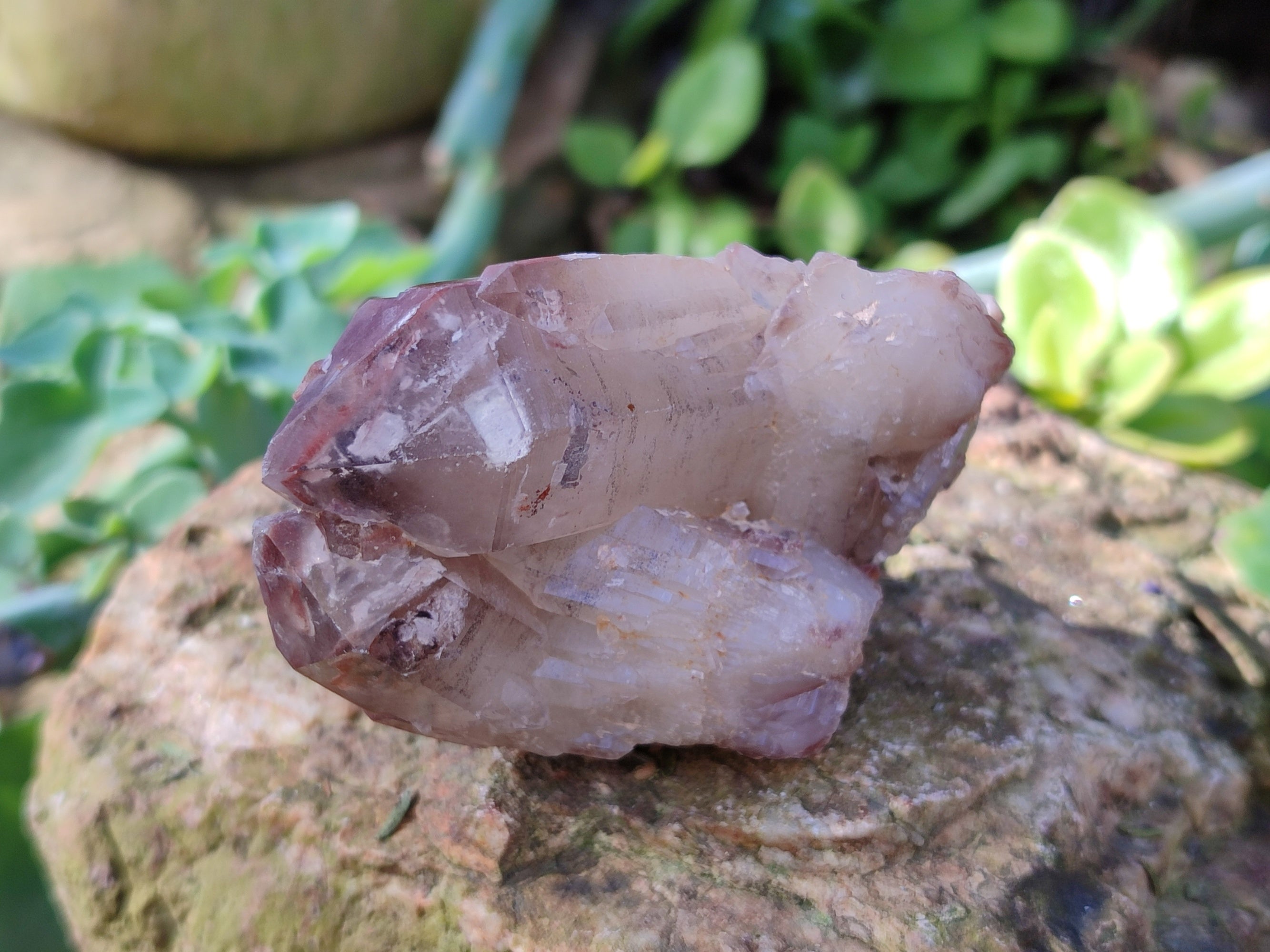 Natural Red Hematoid Quartz Clusters x 12 From Karoi, Zimbabwe - Toprock Gemstones and Minerals 