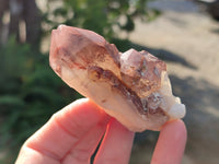 Natural Red Hematoid Quartz Clusters x 12 From Karoi, Zimbabwe