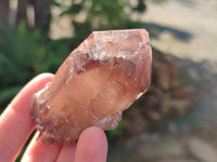 Natural Red Hematoid Quartz Clusters x 12 From Karoi, Zimbabwe