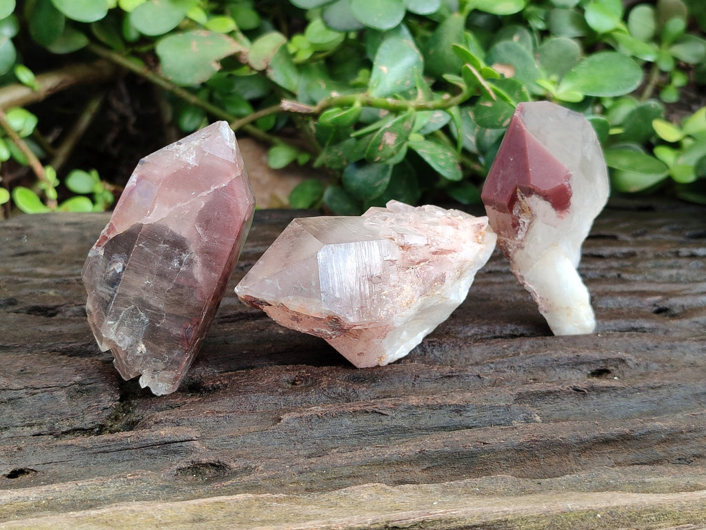 Natural Red Hematoid Quartz Clusters x 12 From Karoi, Zimbabwe - Toprock Gemstones and Minerals 
