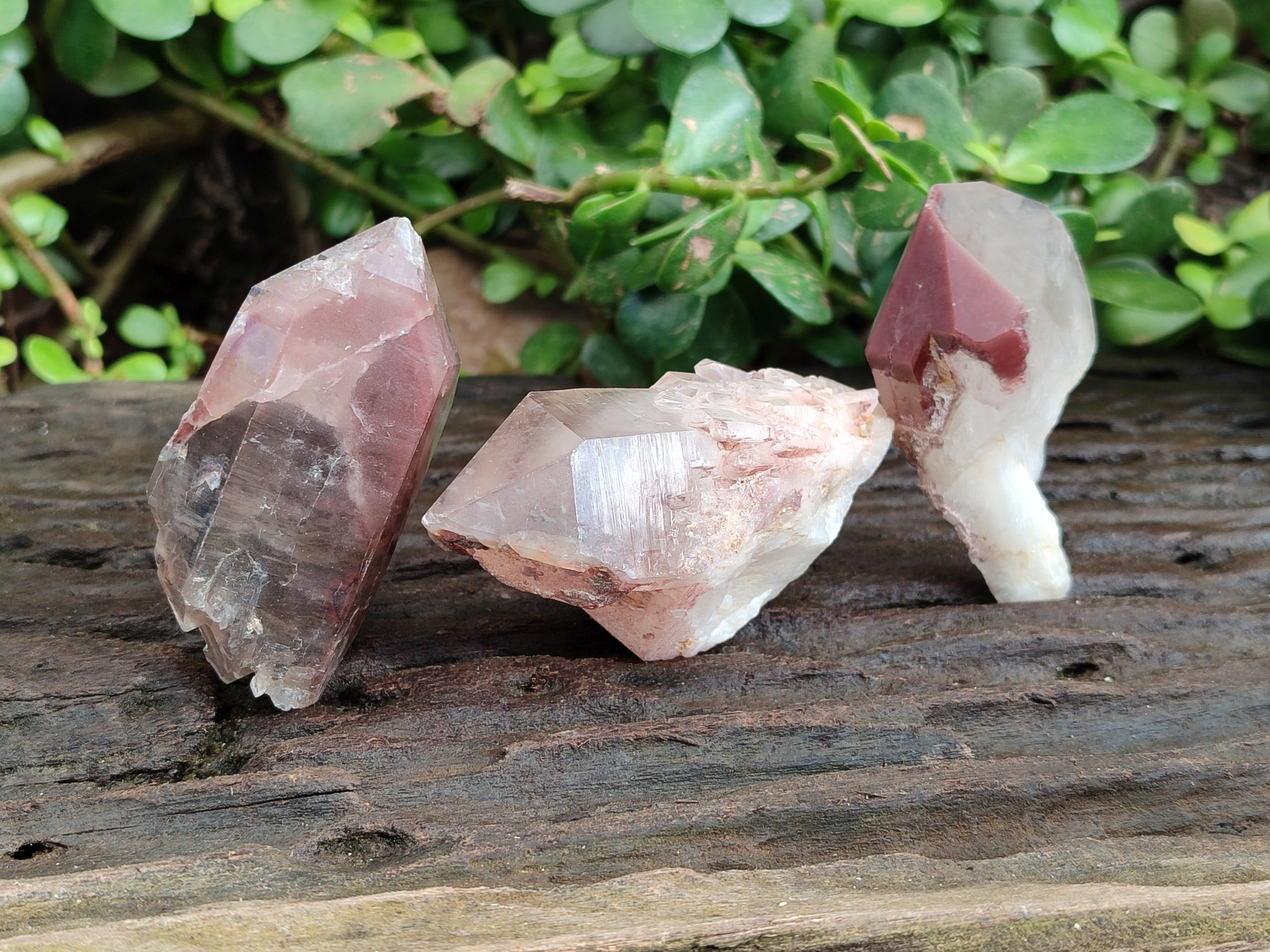 Natural Red Hematoid Quartz Clusters x 12 From Karoi, Zimbabwe - Toprock Gemstones and Minerals 