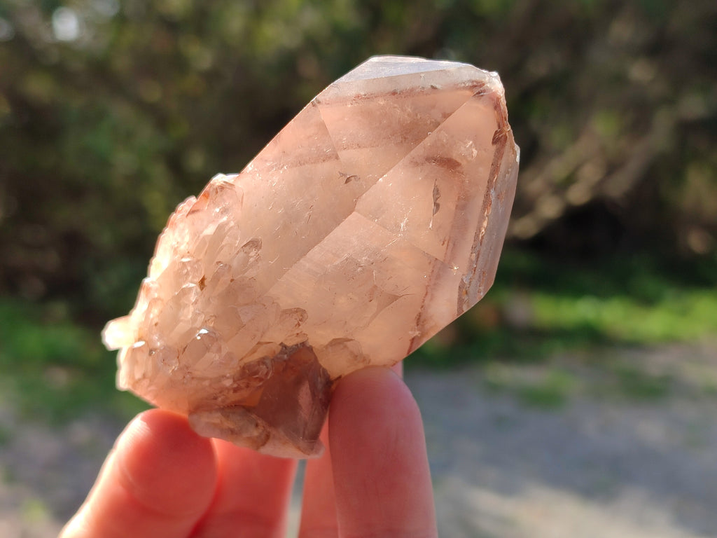 Natural Red Hematoid Quartz Clusters x 12 From Karoi, Zimbabwe - Toprock Gemstones and Minerals 