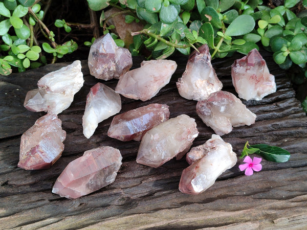Natural Red Hematoid Quartz Clusters x 12 From Karoi, Zimbabwe