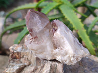 Natural Red Hematoid Quartz Clusters x 12 From Karoi, Zimbabwe