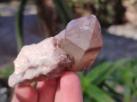 Natural Red Hematoid Quartz Clusters x 12 From Karoi, Zimbabwe