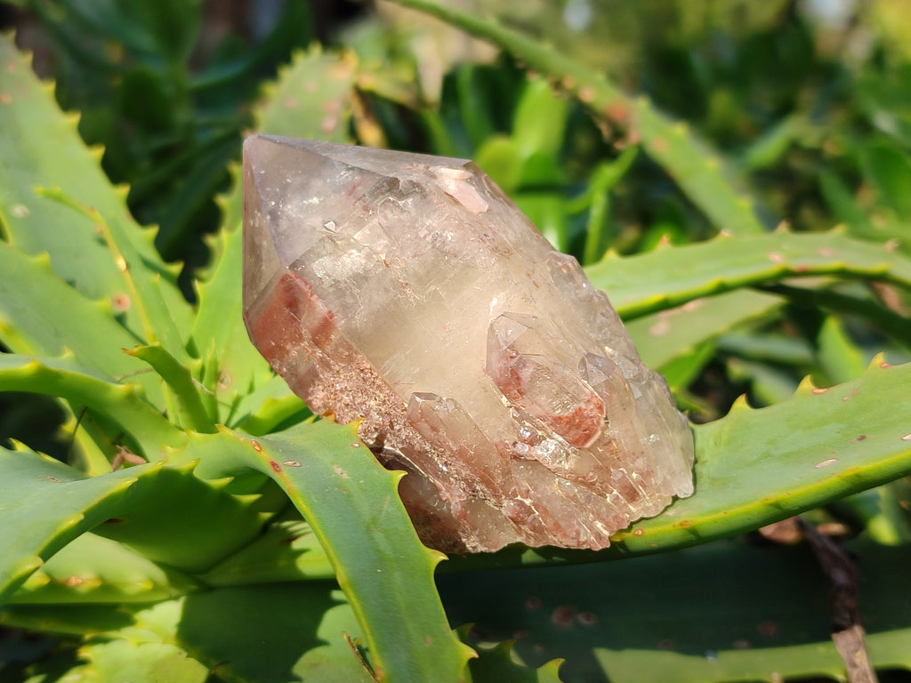 Natural Red Hematoid Quartz Clusters x 12 From Karoi, Zimbabwe - Toprock Gemstones and Minerals 