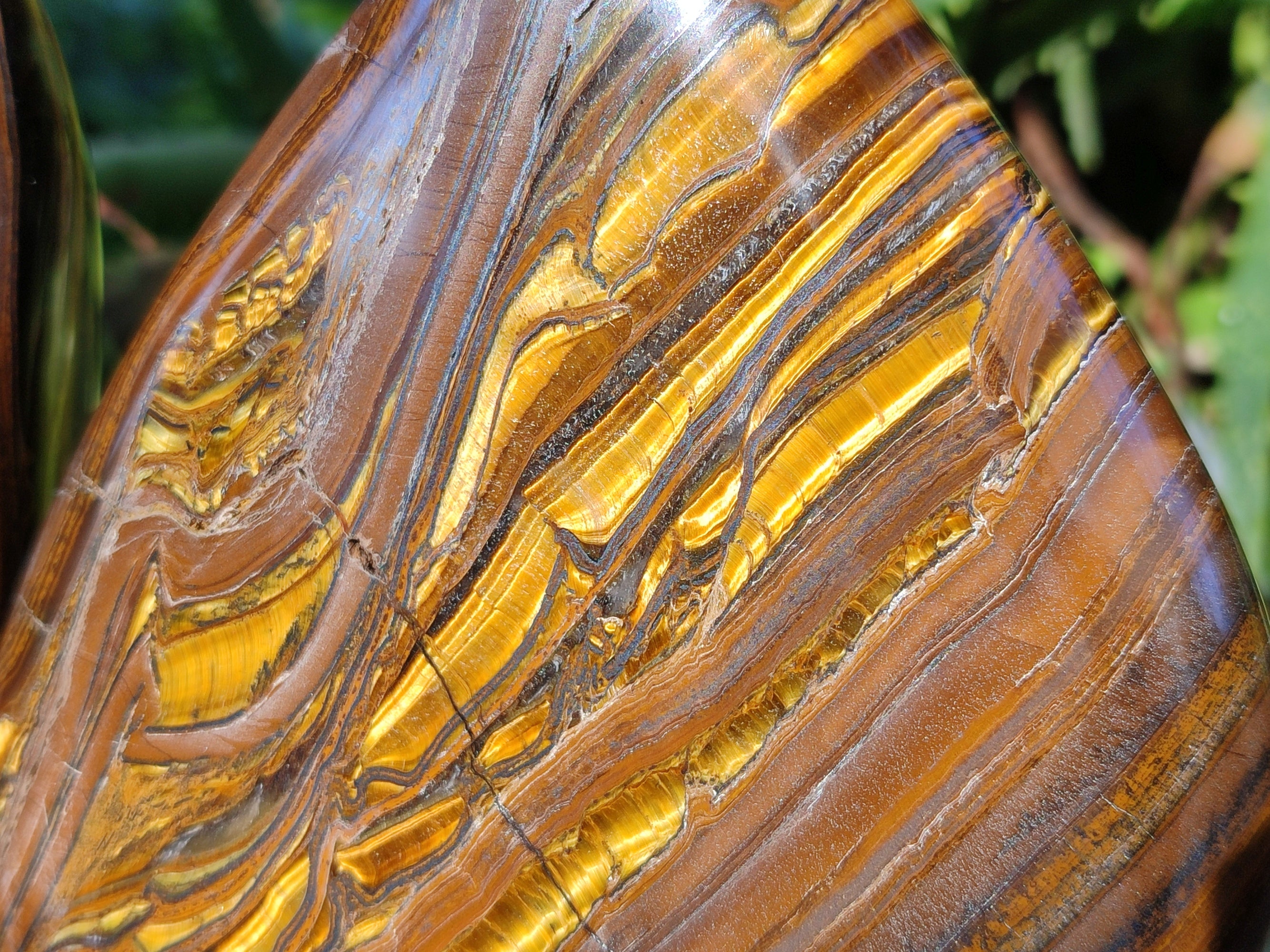 Polished Golden River Tigers Eye Standing Free Forms x 2 From Prieska, South Africa - Toprock Gemstones and Minerals 