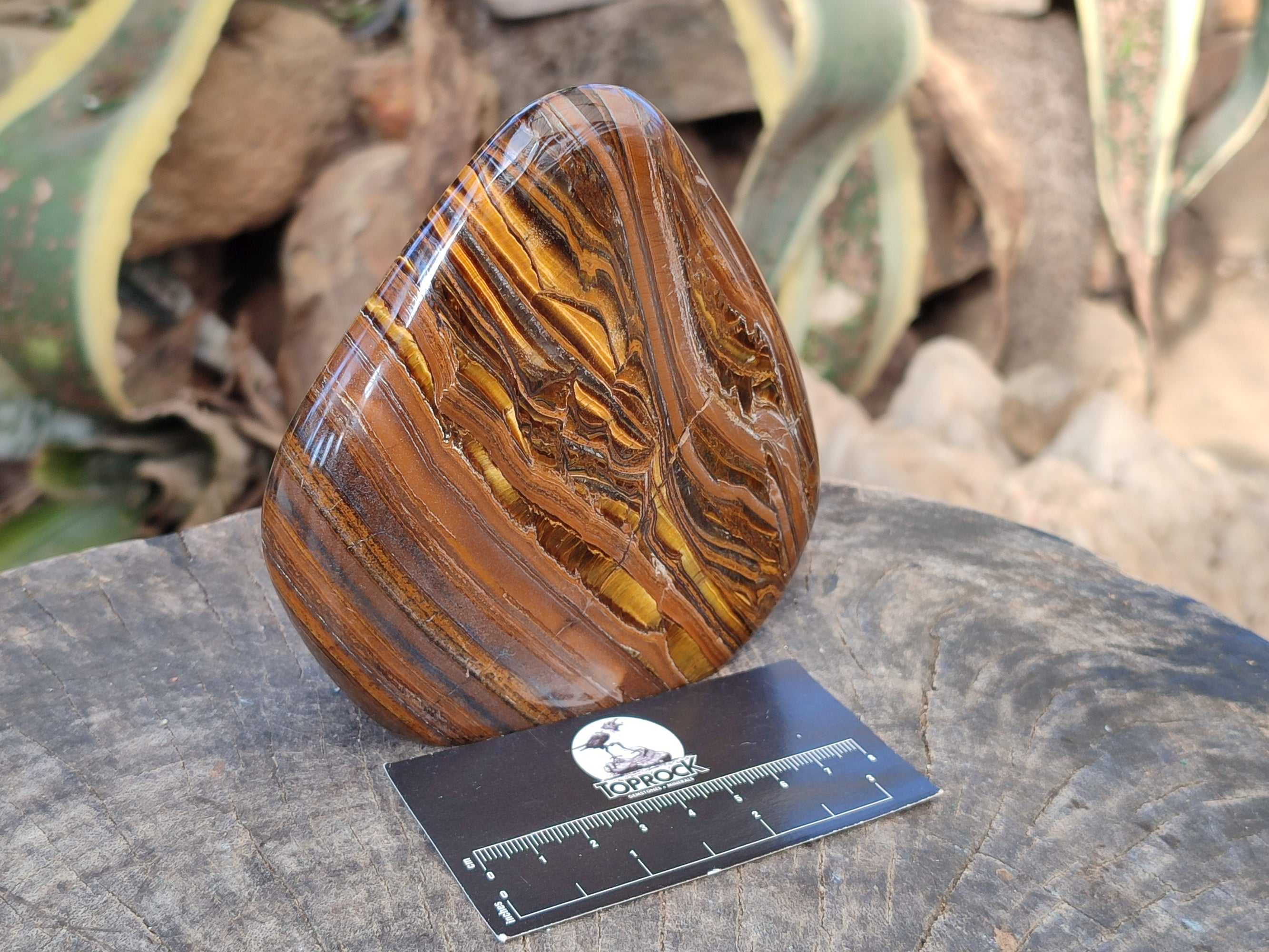 Polished Golden River Tigers Eye Standing Free Forms x 2 From Prieska, South Africa - Toprock Gemstones and Minerals 