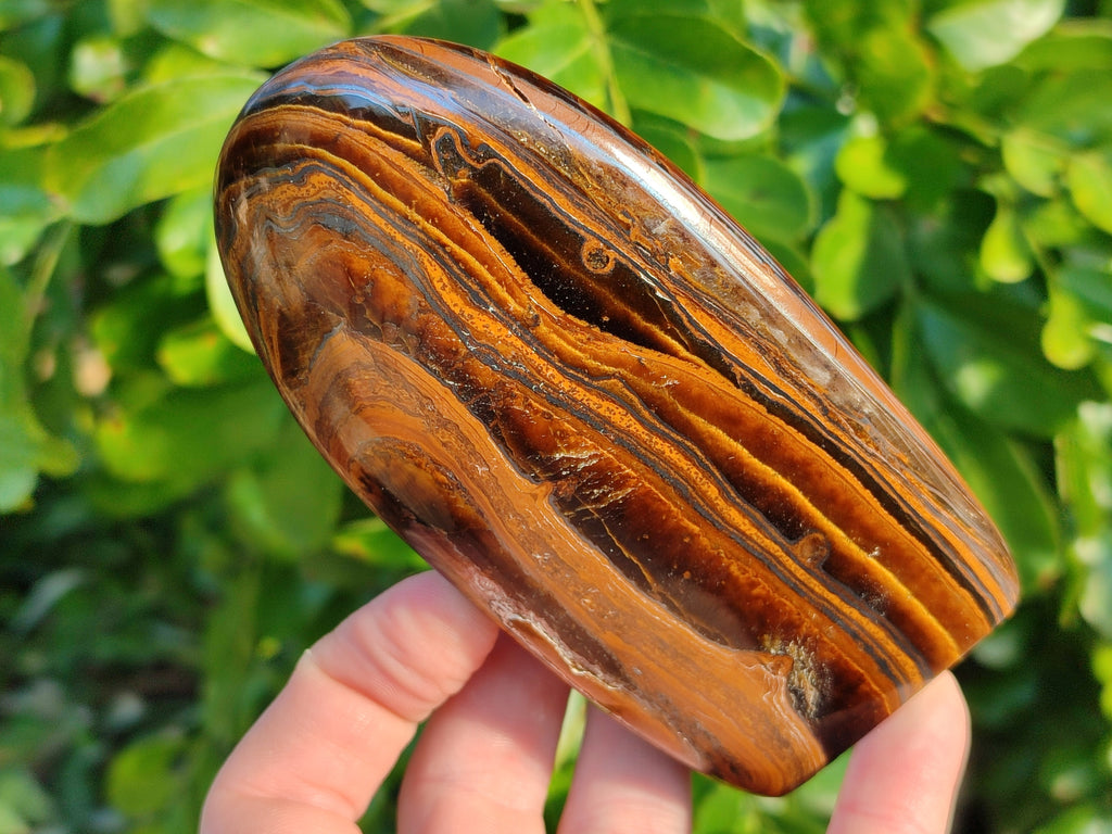 Polished Golden River Tigers Eye Standing Free Forms x 2 From Prieska, South Africa - Toprock Gemstones and Minerals 