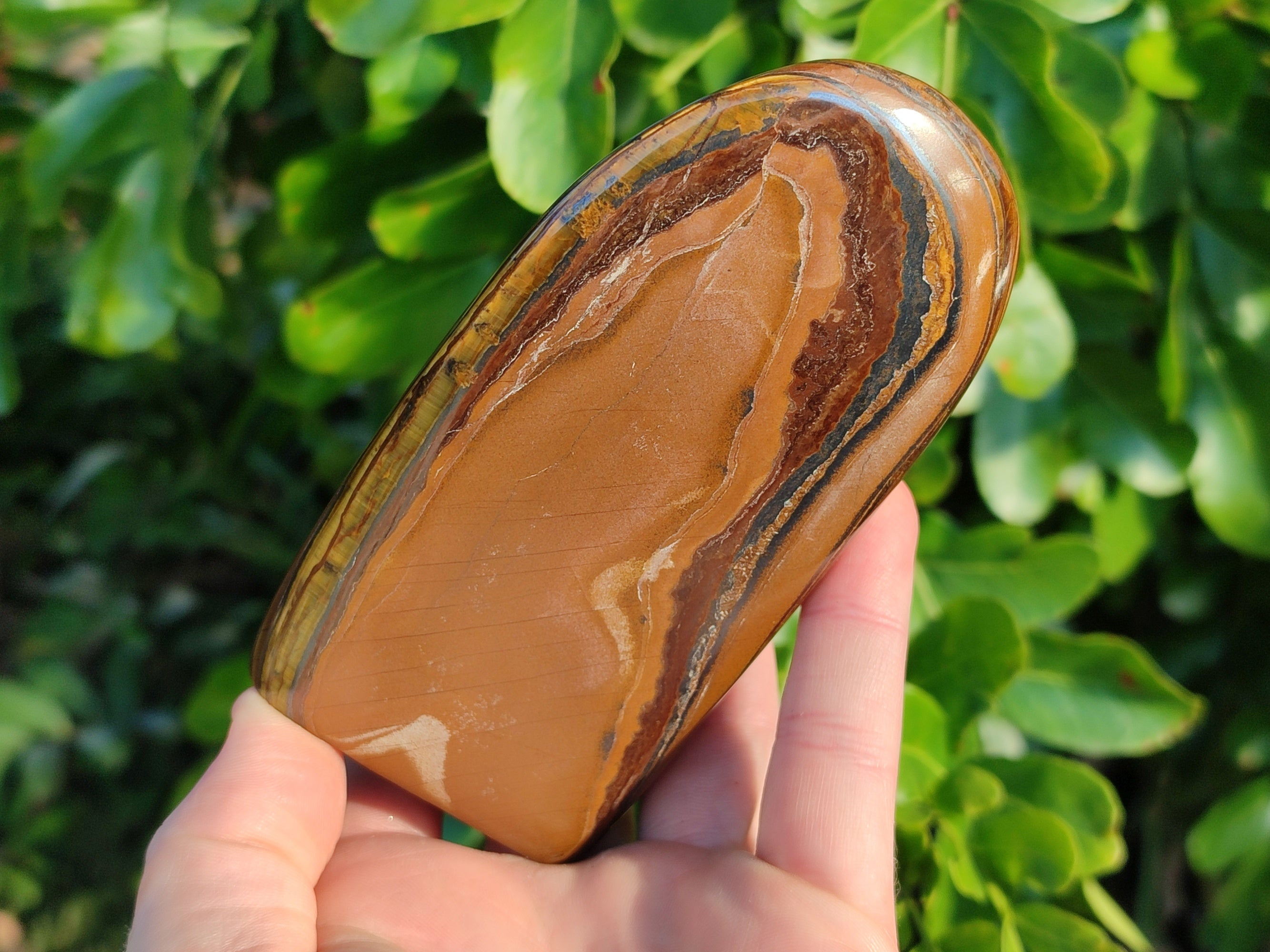 Polished Golden River Tigers Eye Standing Free Forms x 2 From Prieska, South Africa - Toprock Gemstones and Minerals 