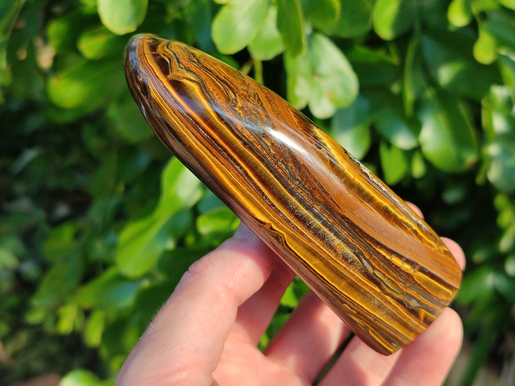 Polished Golden River Tigers Eye Standing Free Forms x 2 From Prieska, South Africa - Toprock Gemstones and Minerals 