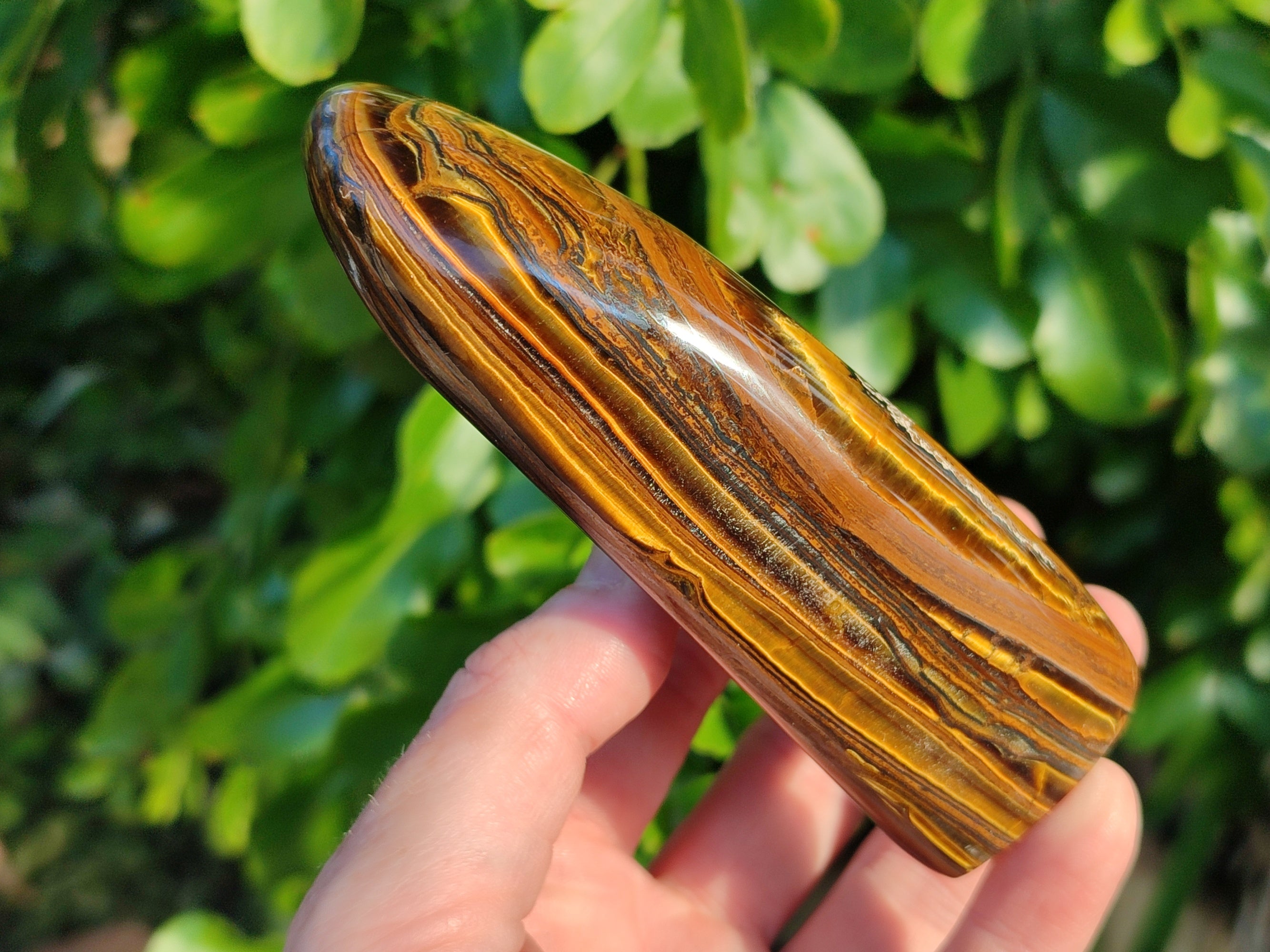 Polished Golden River Tigers Eye Standing Free Forms x 2 From Prieska, South Africa - Toprock Gemstones and Minerals 