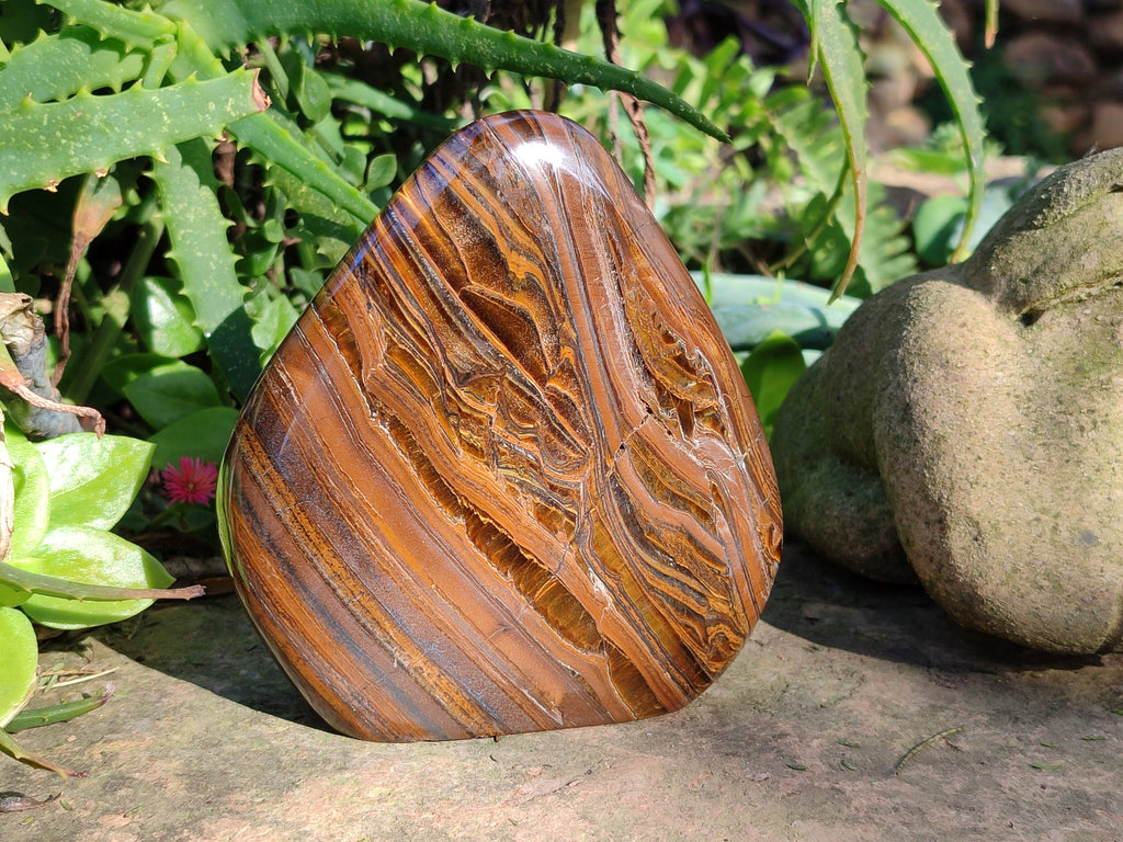 Polished Golden River Tigers Eye Standing Free Forms x 2 From Prieska, South Africa - Toprock Gemstones and Minerals 