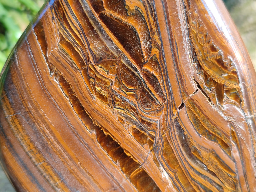 Polished Golden River Tigers Eye Standing Free Forms x 2 From Prieska, South Africa - Toprock Gemstones and Minerals 