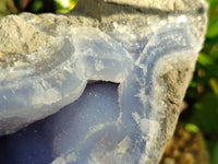 Natural Blue Lace Agate Geode Specimens x 1 From Nsanje, Malawi