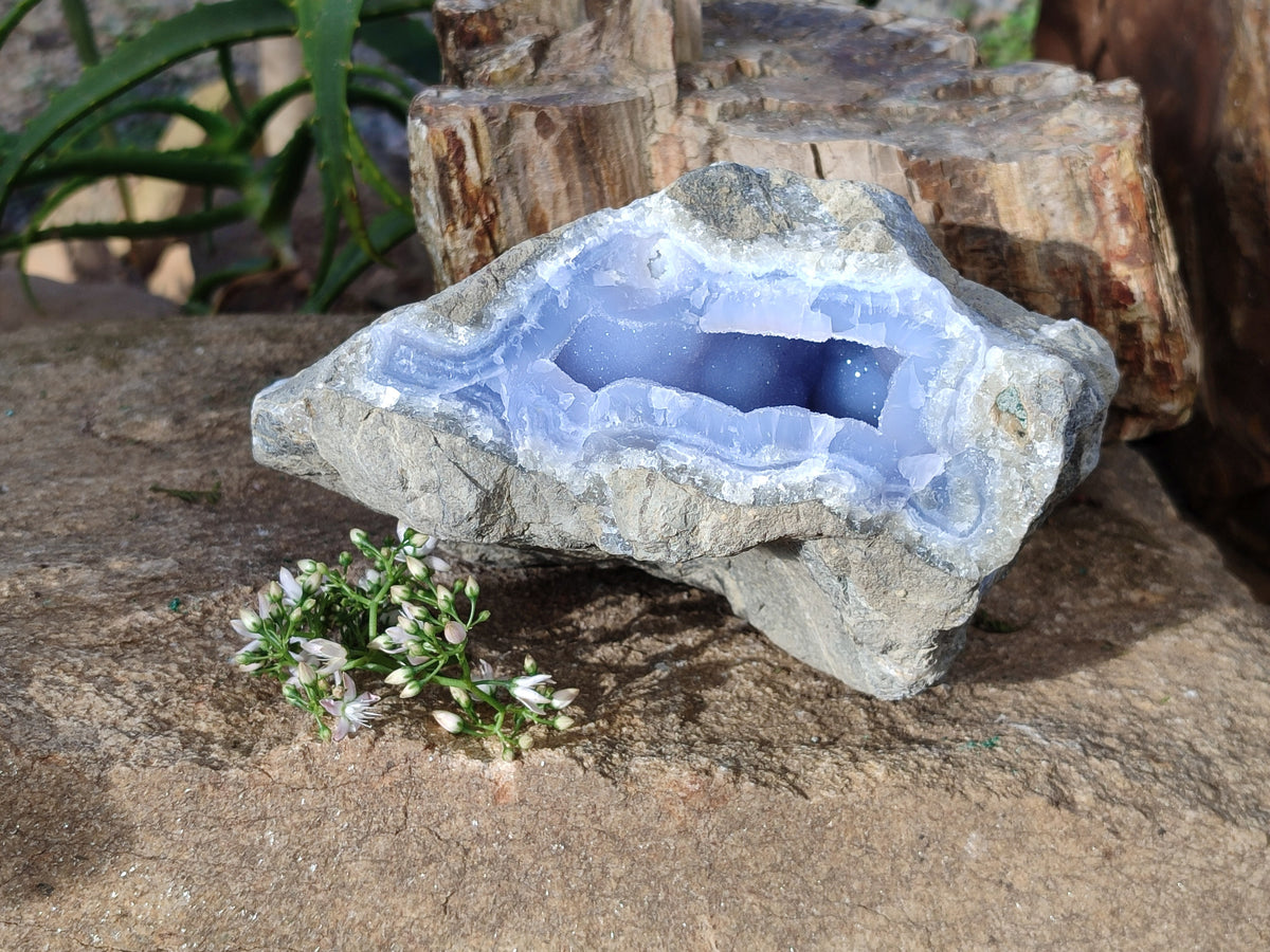 Natural Blue Lace Agate Geode Specimens x 1 From Nsanje, Malawi - Toprock Gemstones and Minerals 