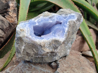 Natural Blue Lace Agate Geode Specimens x 1 From Nsanje, Malawi