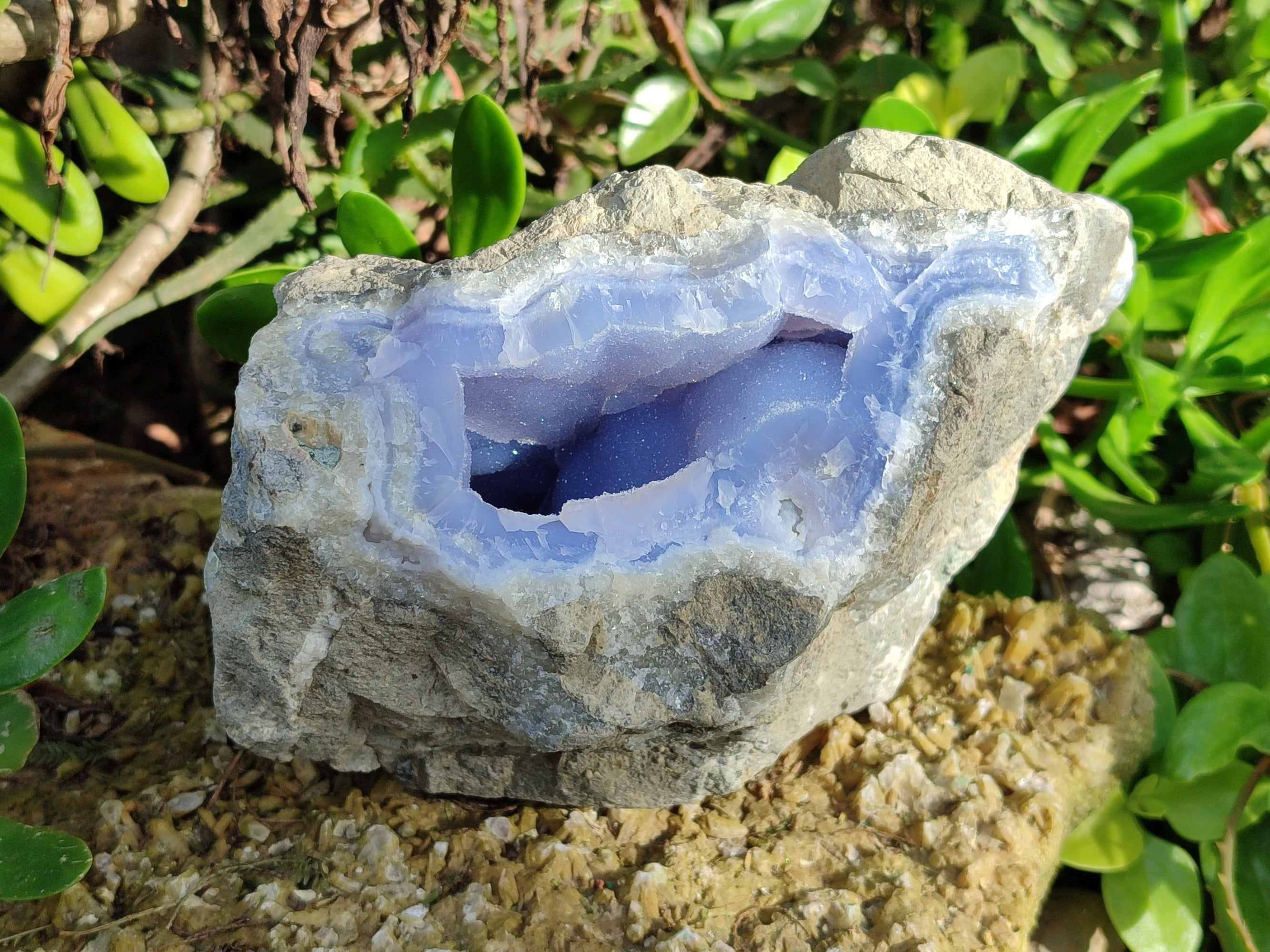 Natural Blue Lace Agate Geode Specimens x 1 From Nsanje, Malawi - Toprock Gemstones and Minerals 