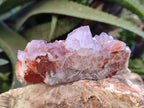 Natural Amethyst Spirit Quartz Clusters x 6 From Boekenhouthoek, South Africa - Toprock Gemstones and Minerals 