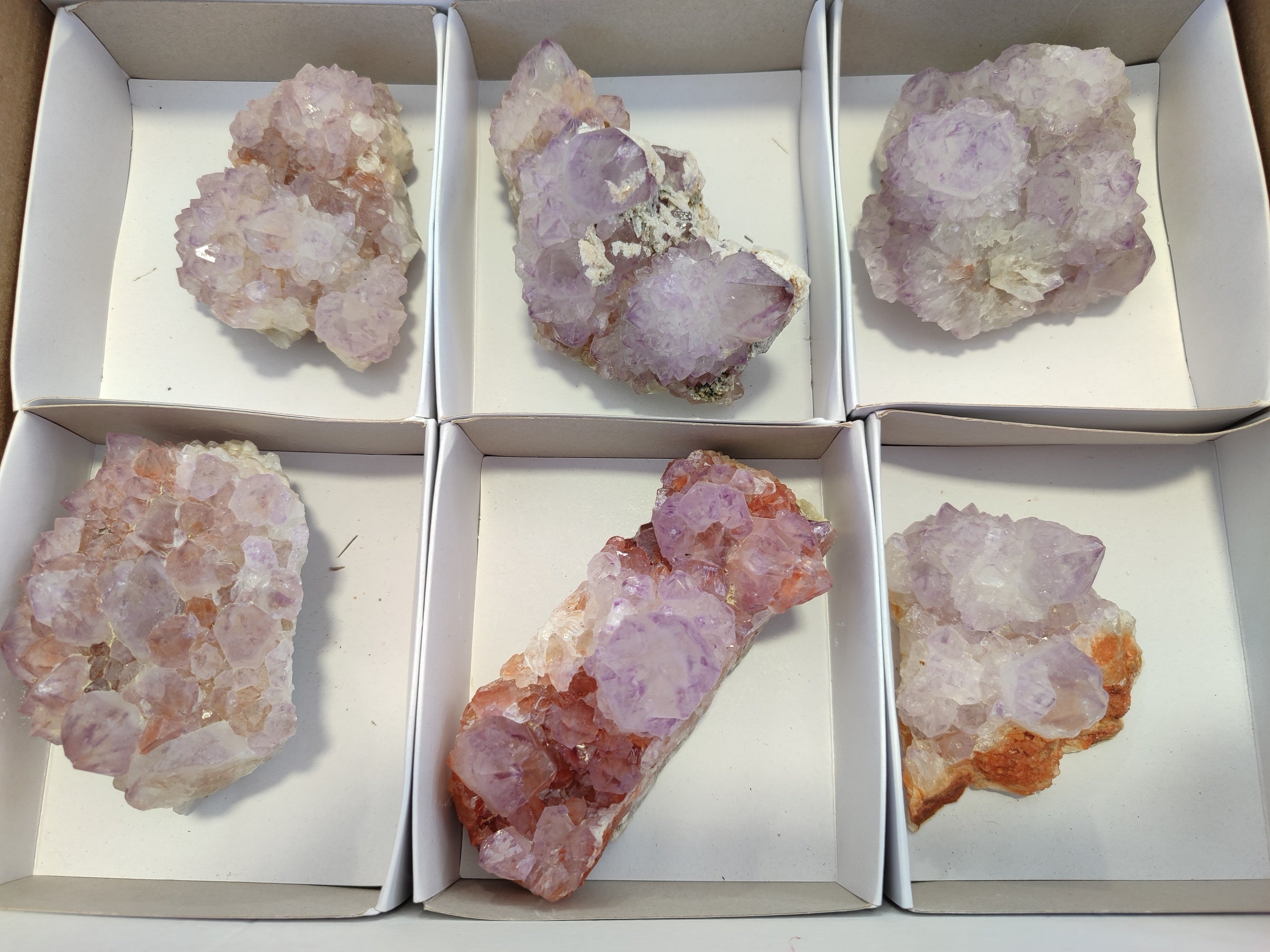 Natural Amethyst Spirit Quartz Clusters x 6 From Boekenhouthoek, South Africa - Toprock Gemstones and Minerals 