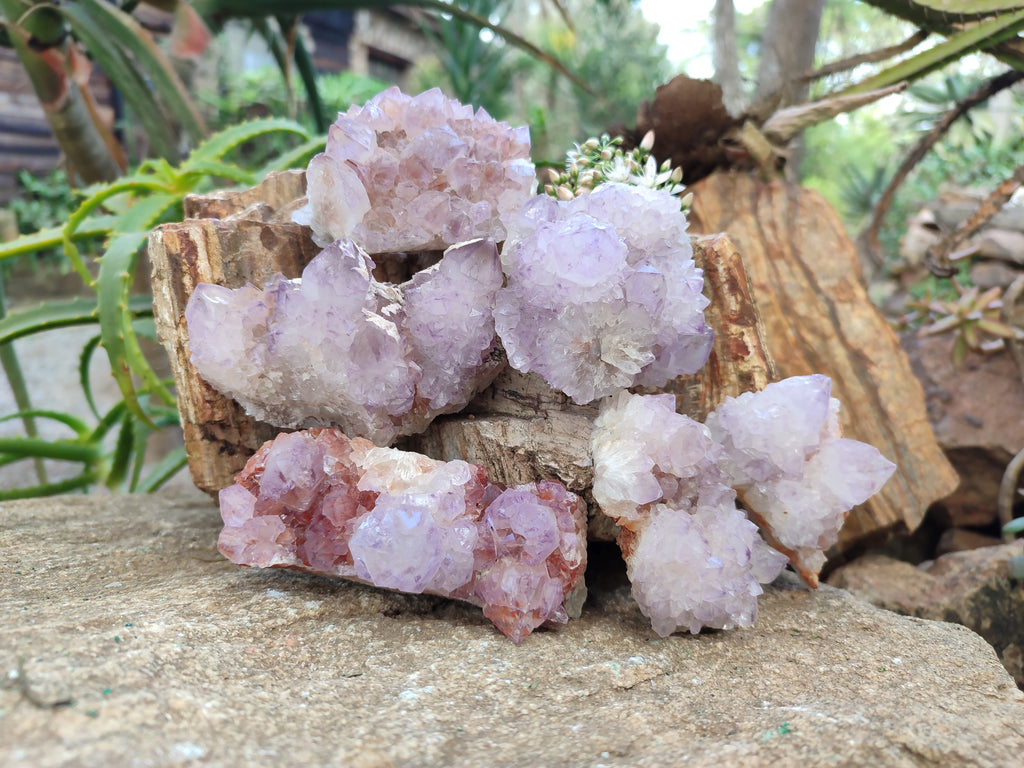 Natural Amethyst Spirit Quartz Clusters x 6 From Boekenhouthoek, South Africa - Toprock Gemstones and Minerals 