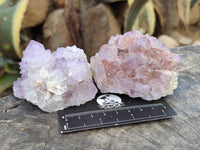 Natural Amethyst Spirit Quartz Clusters x 6 From Boekenhouthoek, South Africa - Toprock Gemstones and Minerals 