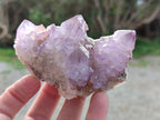 Natural Amethyst Spirit Quartz Clusters x 6 From Boekenhouthoek, South Africa - Toprock Gemstones and Minerals 