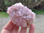 Natural Amethyst Spirit Quartz Clusters x 6 From Boekenhouthoek, South Africa - Toprock Gemstones and Minerals 