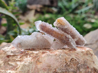 Natural Golden Limonite Spirit Quartz Clusters x 35 From Boekenhouthoek, South Africa - Toprock Gemstones and Minerals 