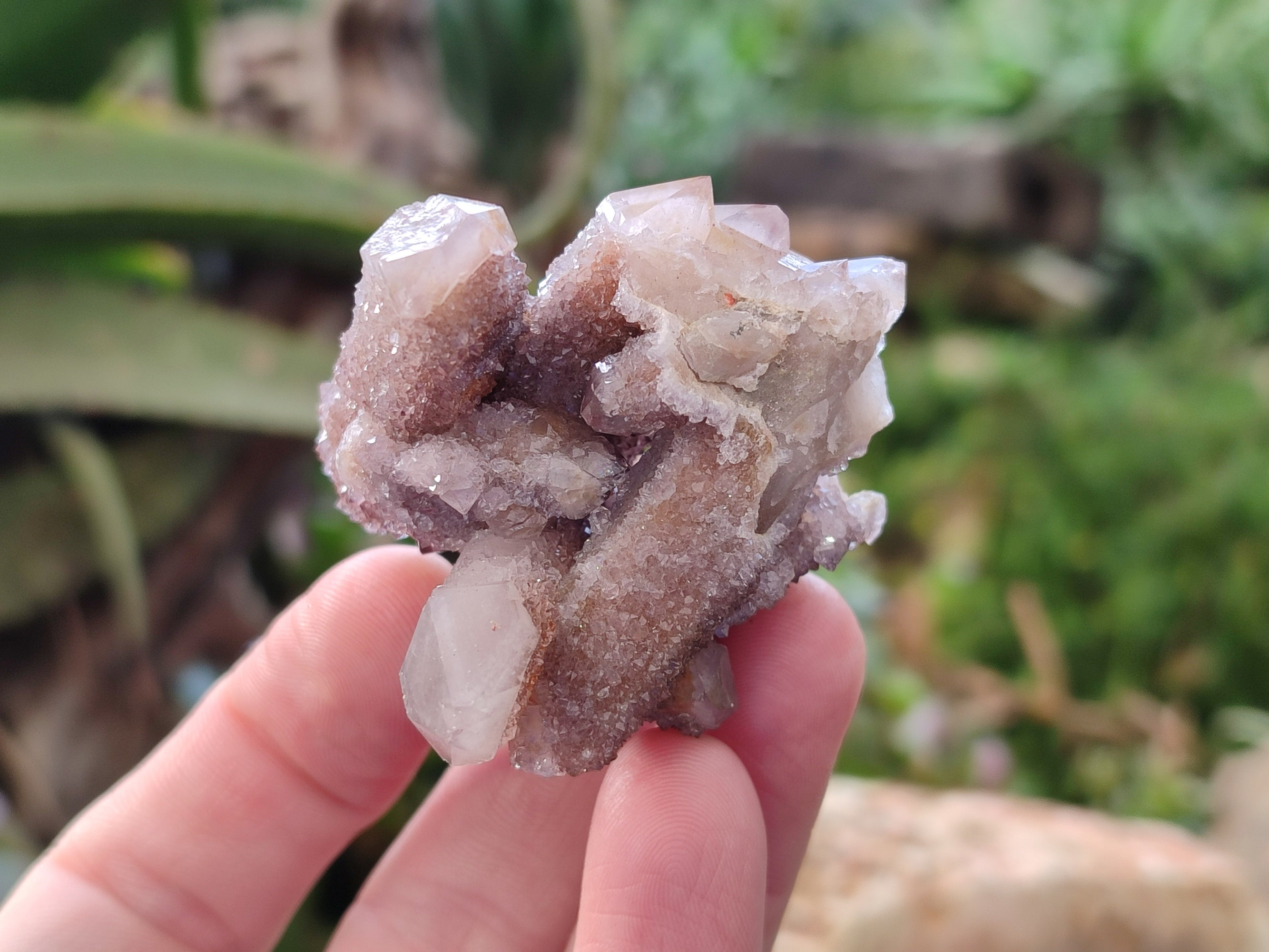 Natural Golden Limonite Spirit Quartz Clusters x 35 From Boekenhouthoek, South Africa - Toprock Gemstones and Minerals 