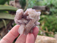 Natural Golden Limonite Spirit Quartz Clusters x 35 From Boekenhouthoek, South Africa - Toprock Gemstones and Minerals 