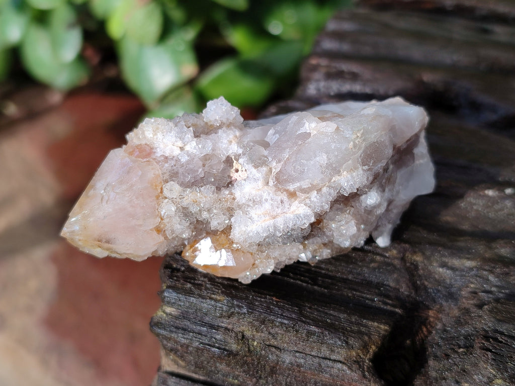 Natural Golden Limonite Spirit Quartz Clusters x 35 From Boekenhouthoek, South Africa - Toprock Gemstones and Minerals 